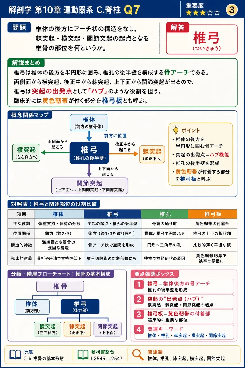体表から胸骨角を起点として外側にたどると確実に同定できる肋骨は第何肋骨か。 解説図