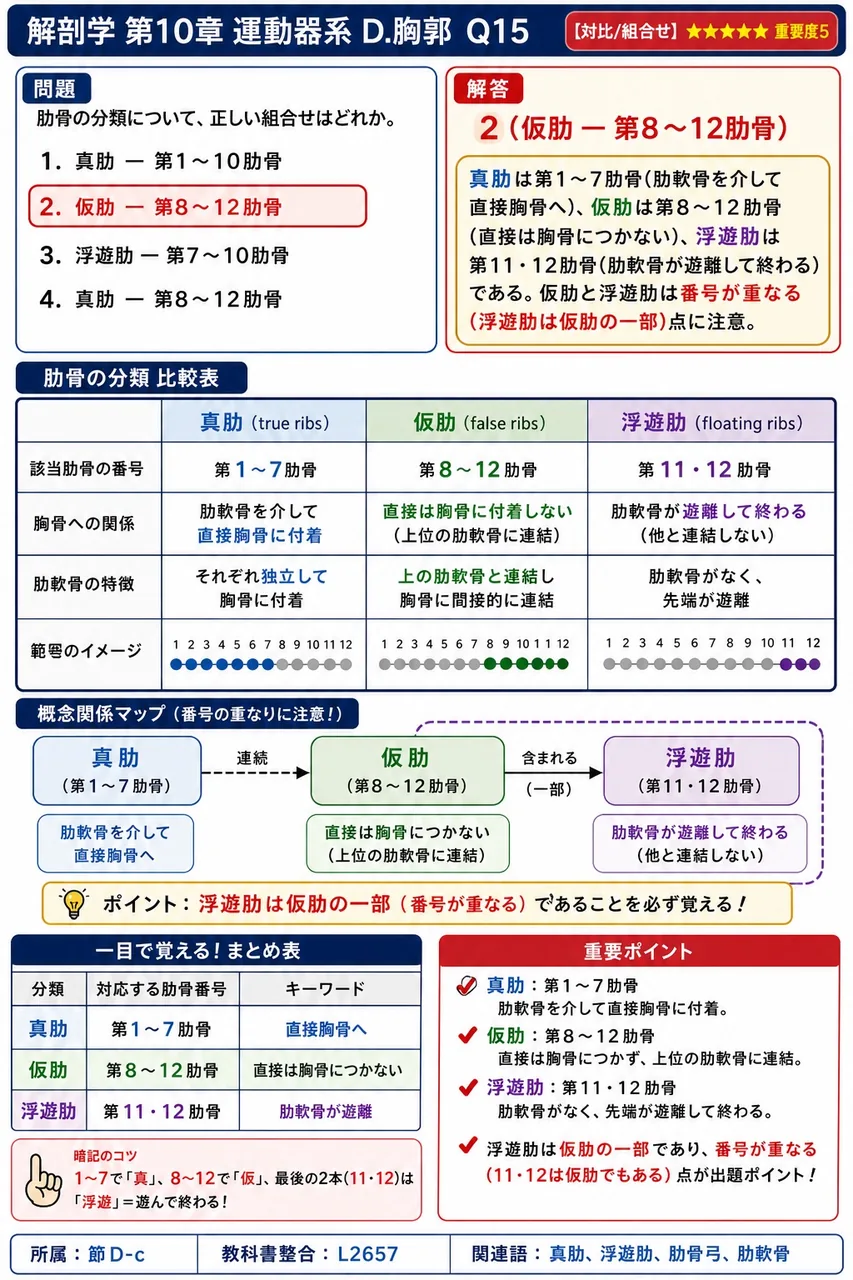 肋骨の分類について、正しい組合せはどれか。 解説図