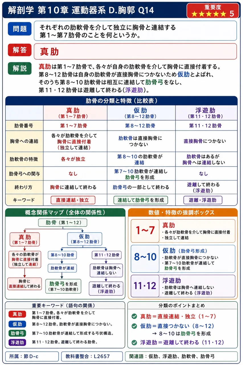 胸郭上口を**通る**のはどれか。 解説図