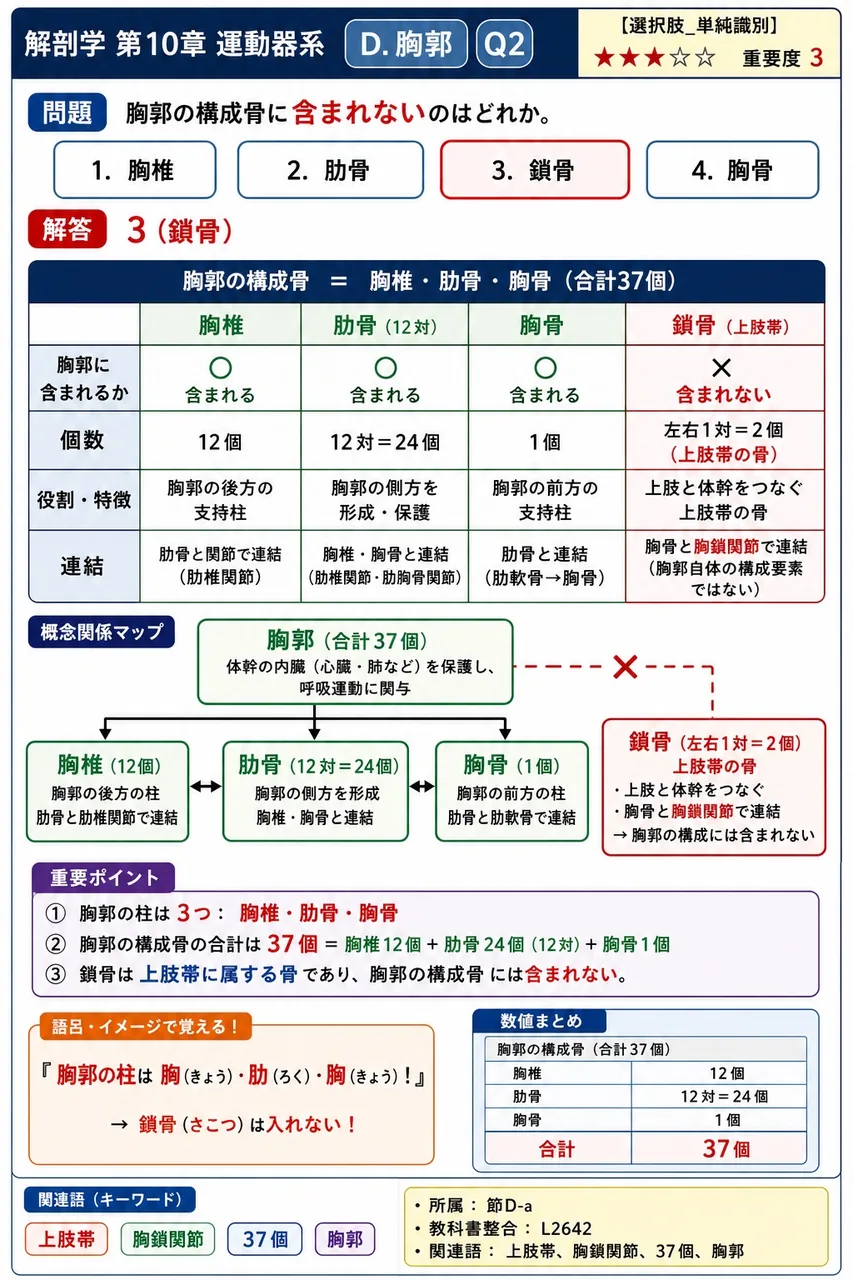 胸腔内で左右の腕頭静脈が合流して形成され、胸郭上口を「通らない」血管は何か。 解説図