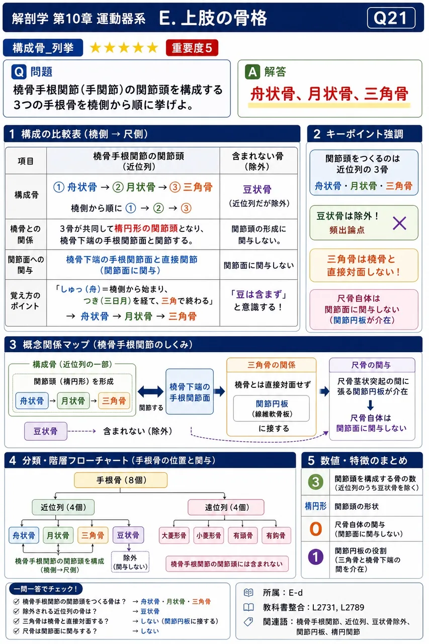 鎖骨について正しいのはどれか。 解説図
