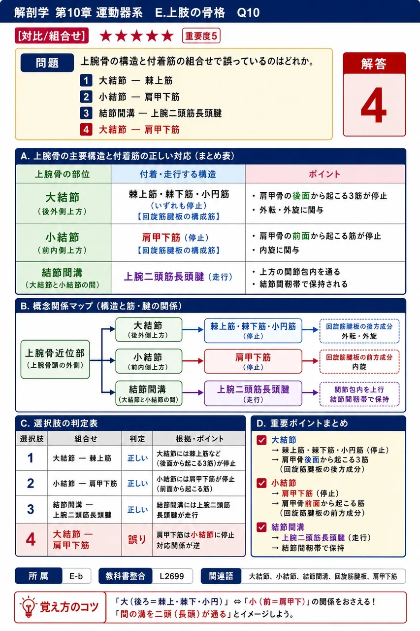 上腕骨の構造と付着筋の組合せで誤っているのはどれか。 解説図