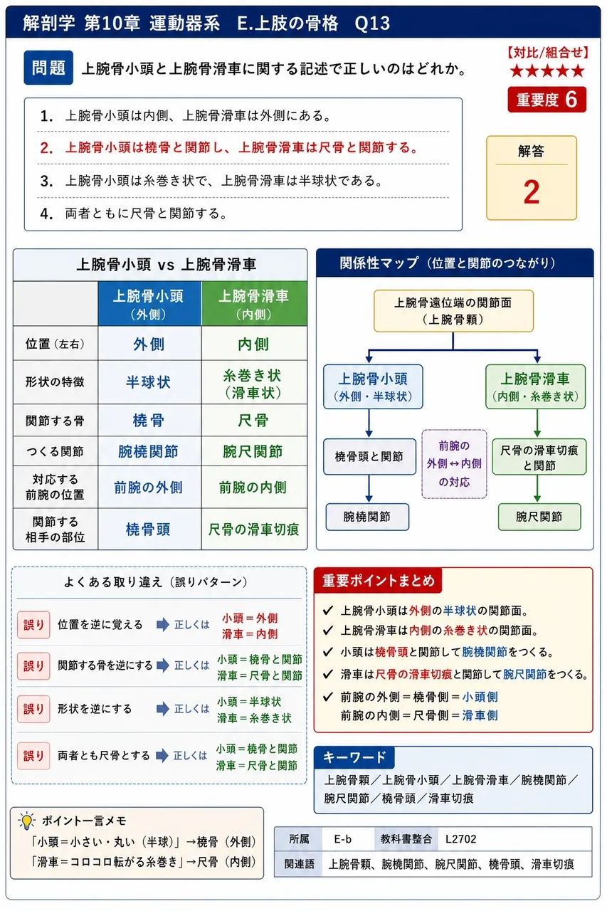 上腕骨小頭と上腕骨滑車に関する記述で正しいのはどれか。 解説図