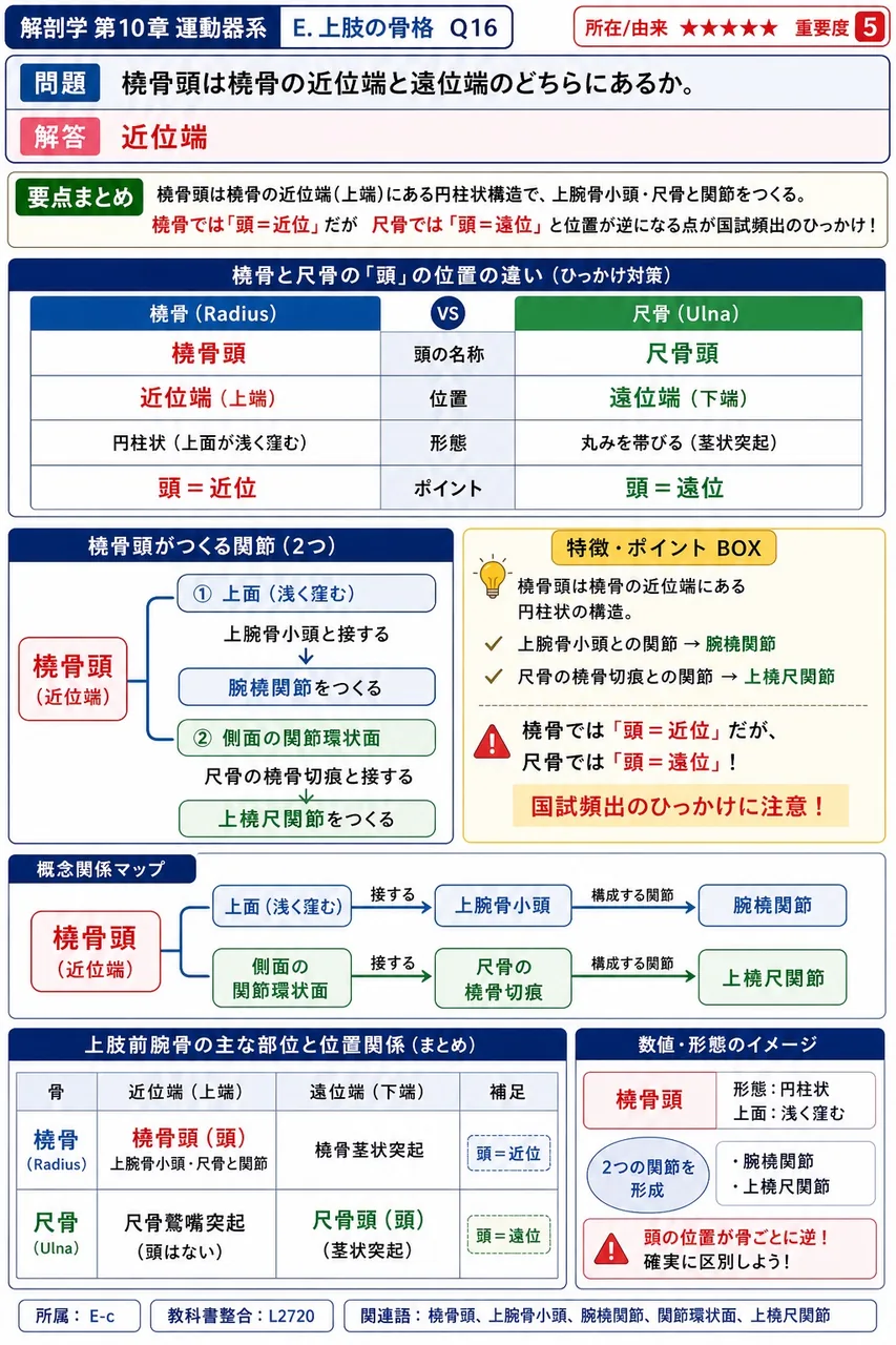 橈骨手根関節(手関節)の関節頭を構成する3つの手根骨を橈側から順に挙げよ。 解説図