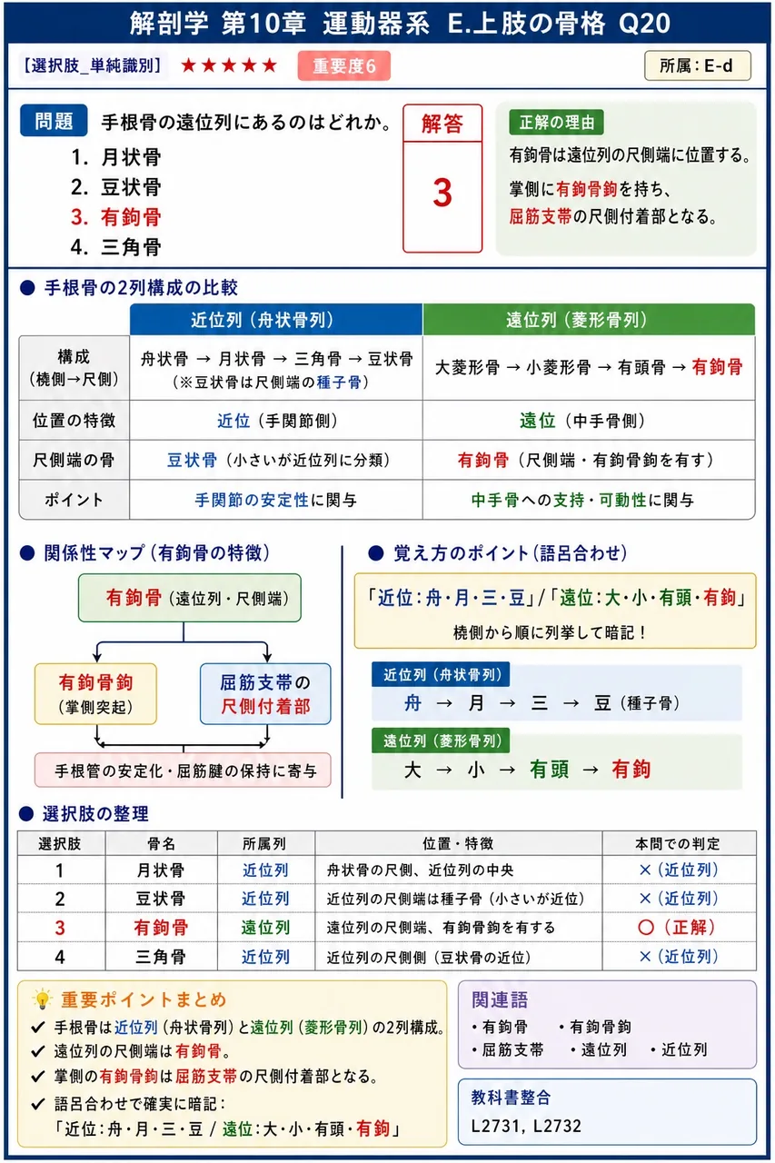 手根管の内部を通る代表的な神経はどれか。 解説図