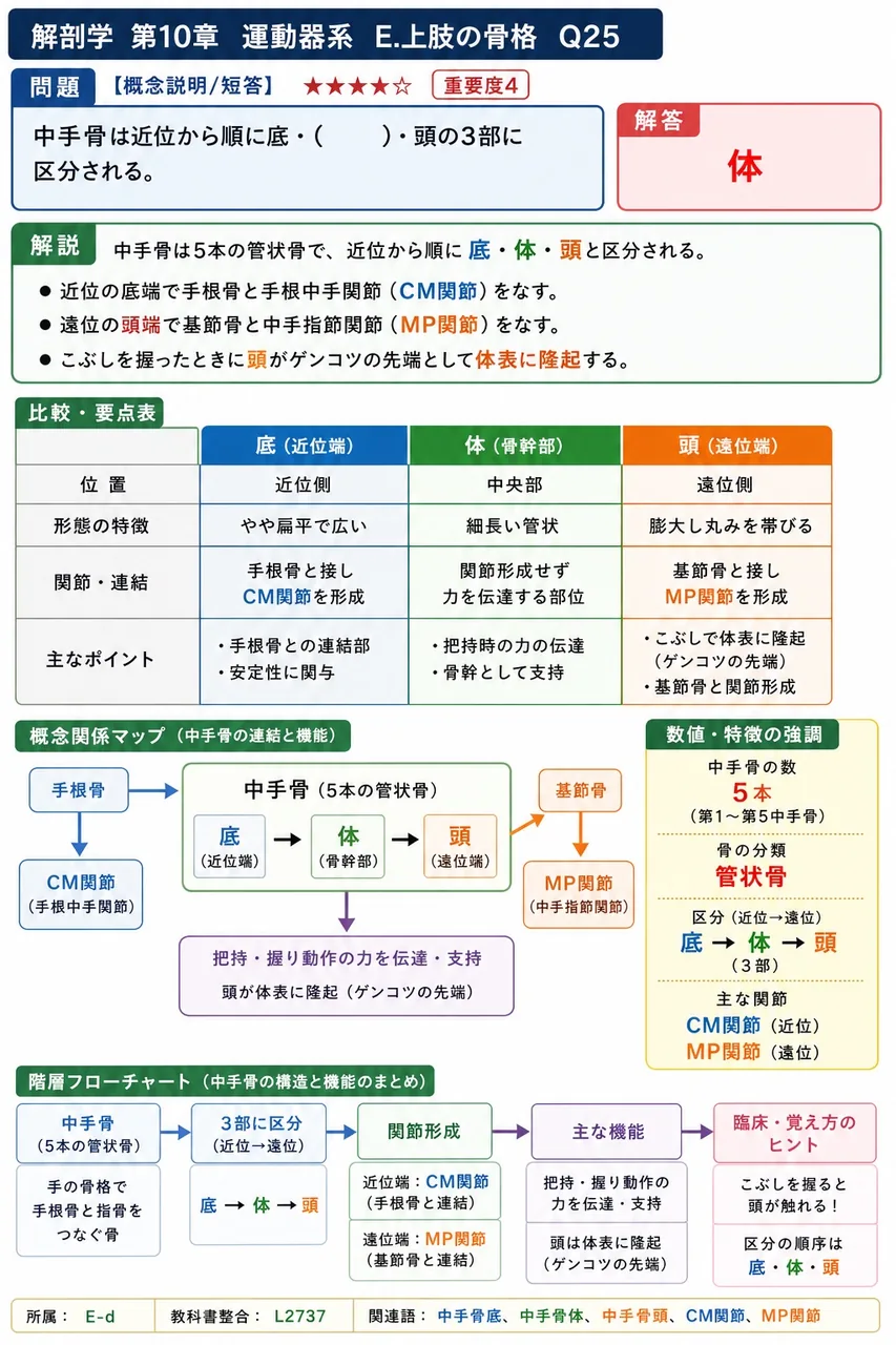 中手骨は近位から順に底・( )・頭の3部に区分される。 解説図