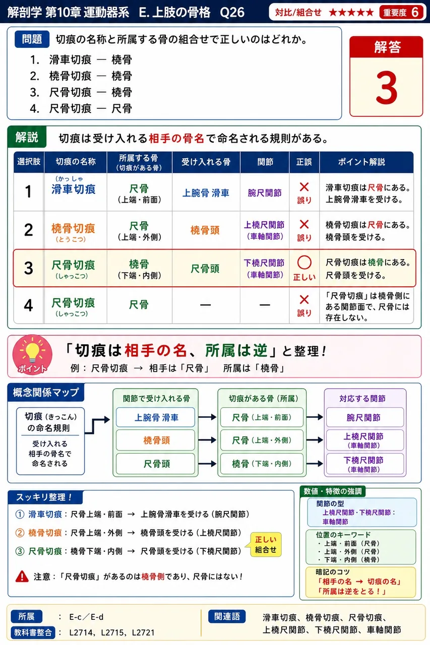 切痕の名称と所属する骨の組合せで正しいのはどれか。 解説図