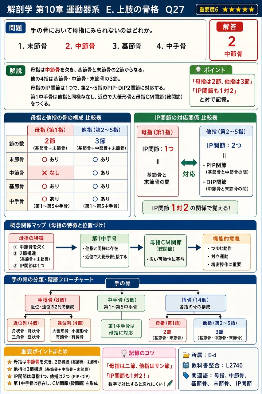 手の骨において母指にみられないのはどれか。 解説図