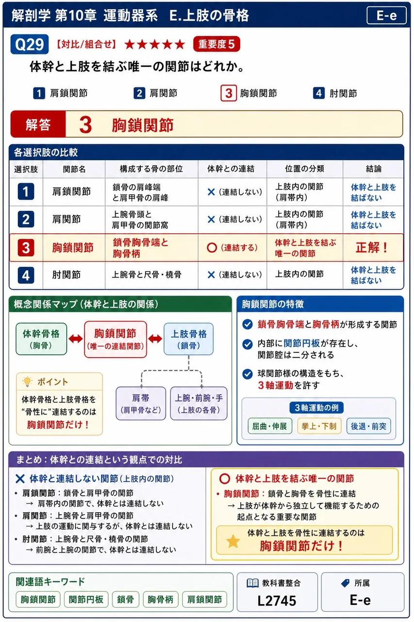 肩関節の関節型はどれか。 解説図