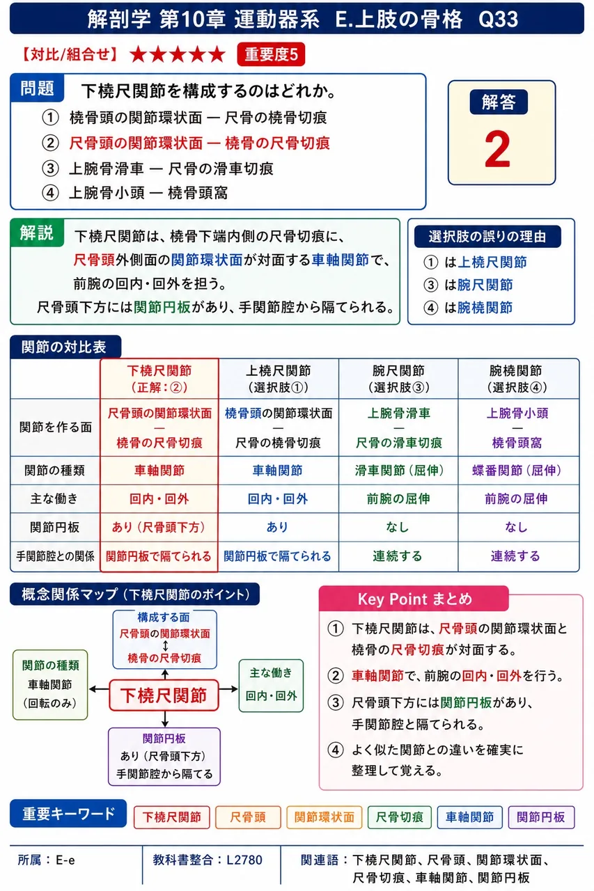下橈尺関節を構成するのはどれか。 解説図