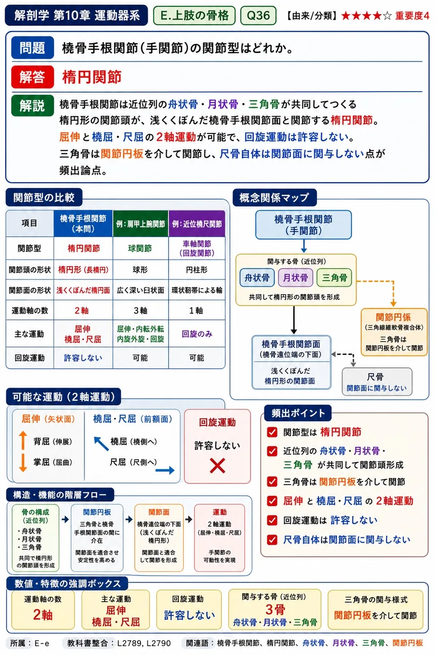 橈骨手根関節(手関節)の関節型はどれか。 解説図