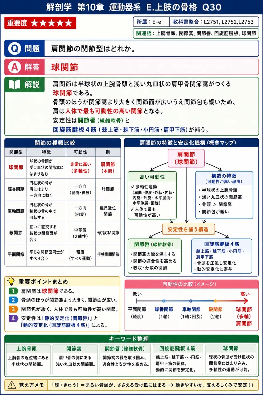 上腕骨遠位端前面で、肘関節屈曲時に尺骨の鉤状突起が収まるくぼみを何というか。 解説図