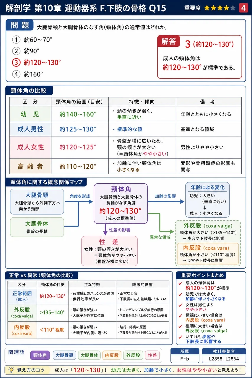 寛骨を構成しないのはどれか。 解説図