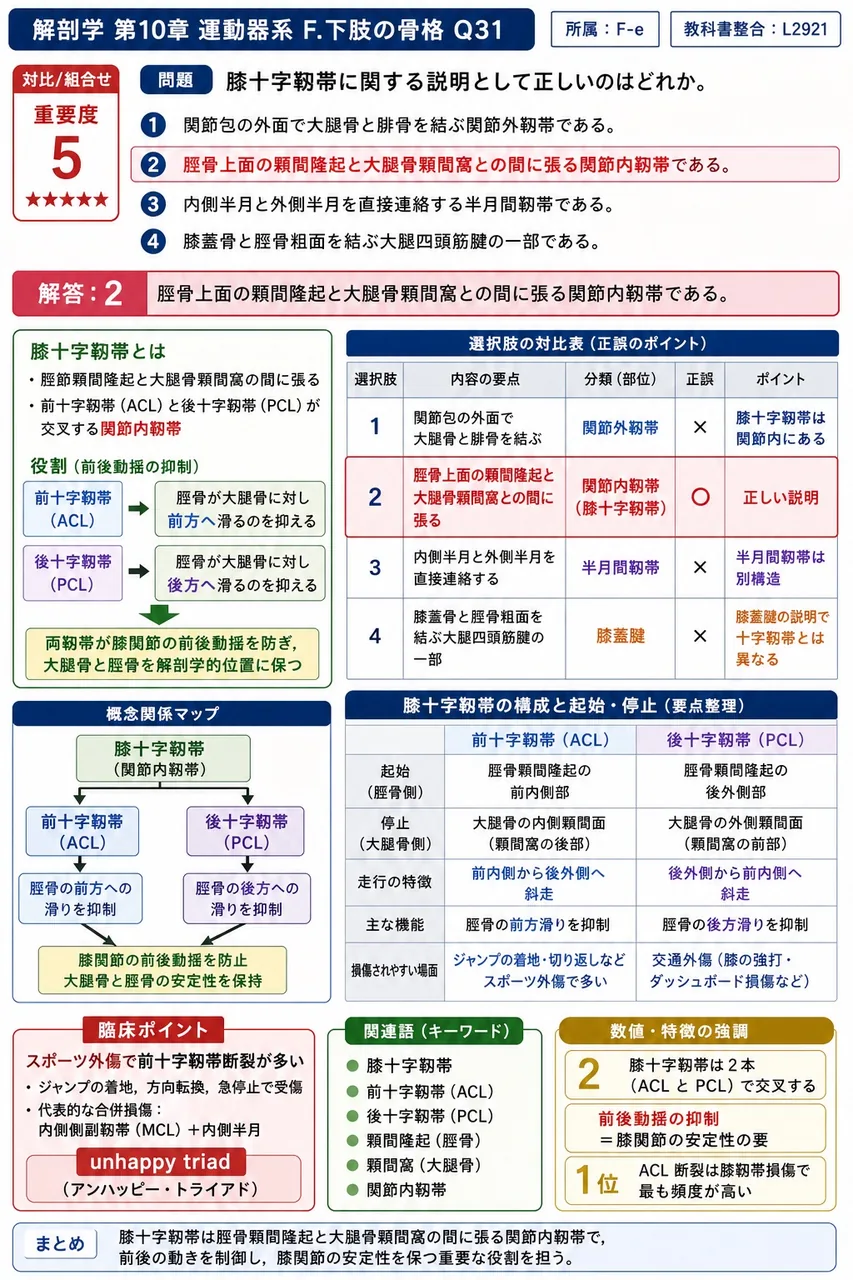 閉鎖孔を囲んでいる2つの骨の組合せはどれか。 解説図