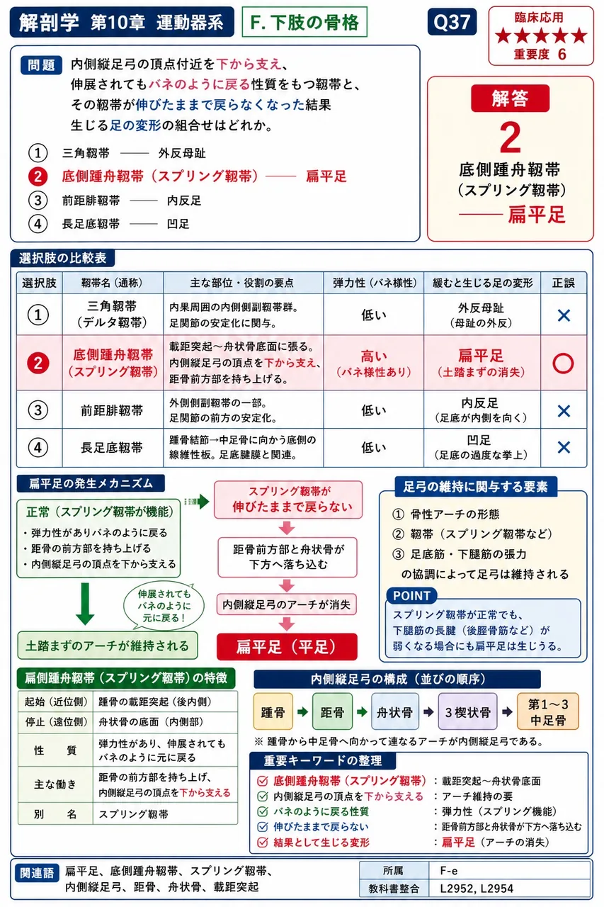 鼠径靱帯の外側端が付着する寛骨の突起はどれか。 解説図