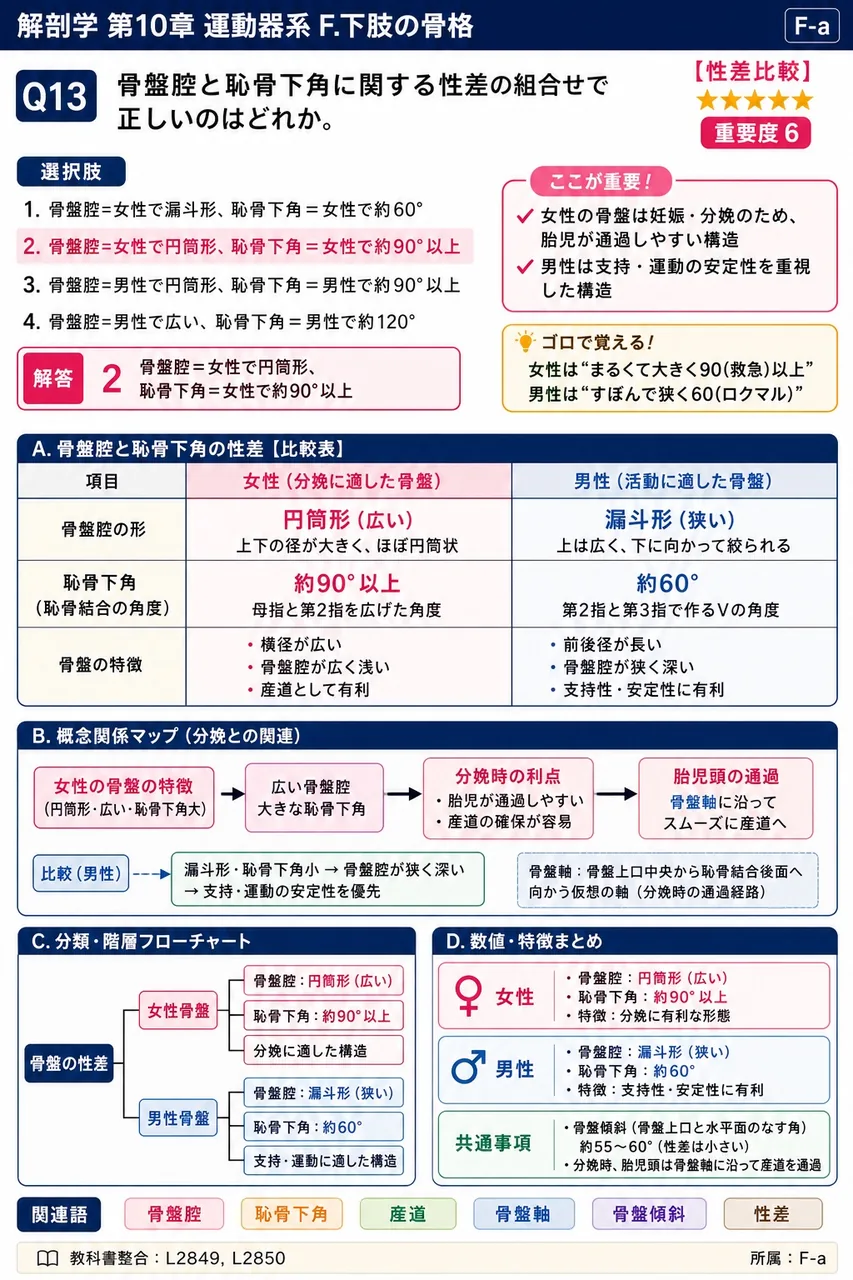 大腿骨頸と大腿骨体のなす角(頸体角)の通常値はどれか。 解説図