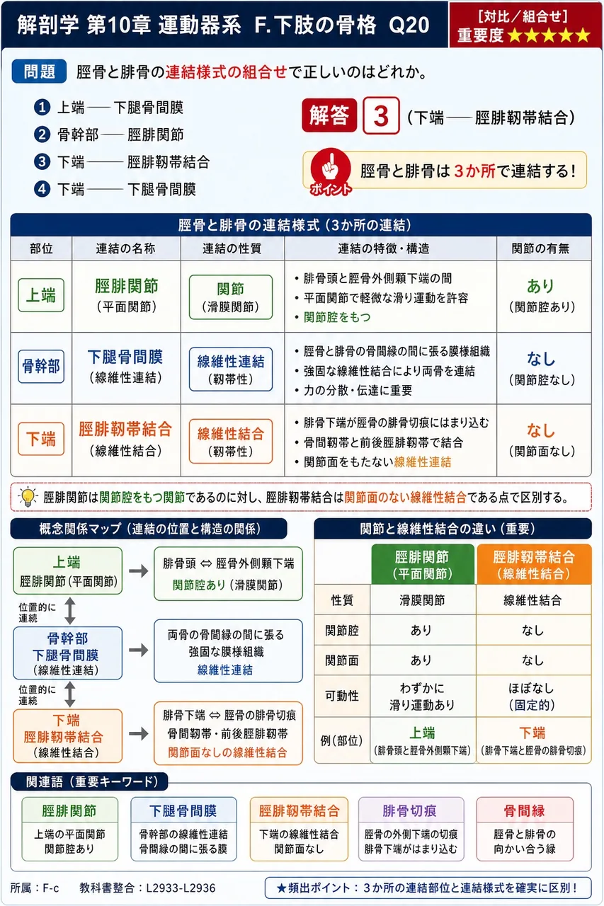 舟状骨と直接関節しないのはどれか。 解説図