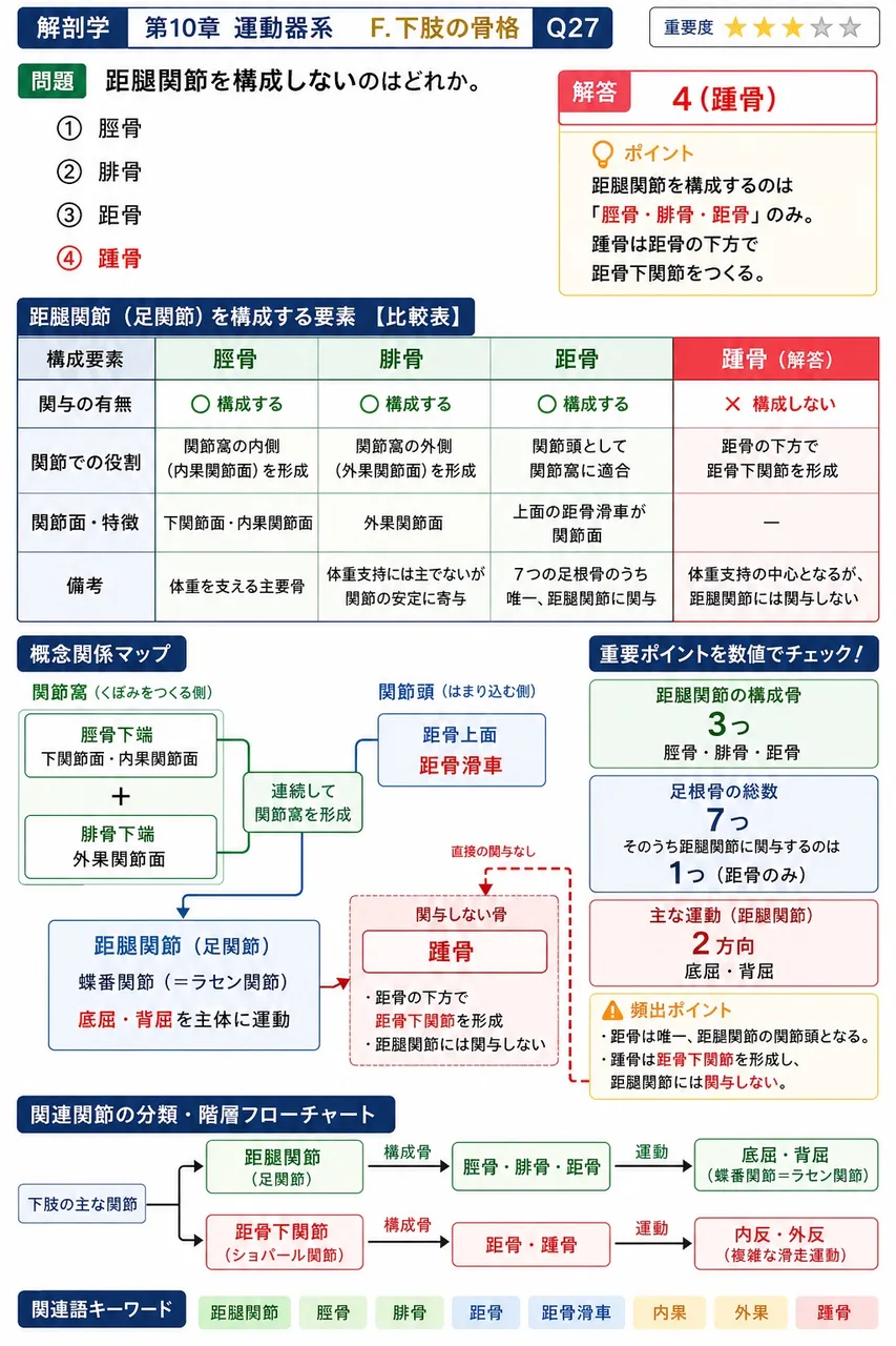 距腿関節を構成しないのはどれか。 解説図