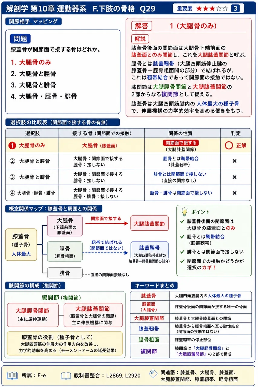 膝十字靱帯に関する説明として正しいのはどれか。 解説図