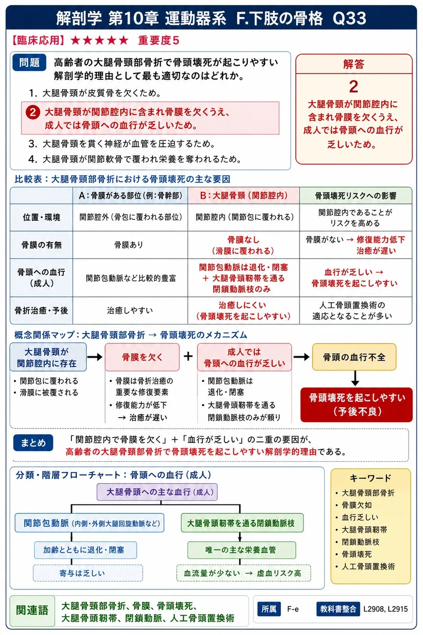 高齢者の大腿骨頸部骨折で骨頭壊死が起こりやすい解剖学的理由として最も適切なのはどれか。 解説図