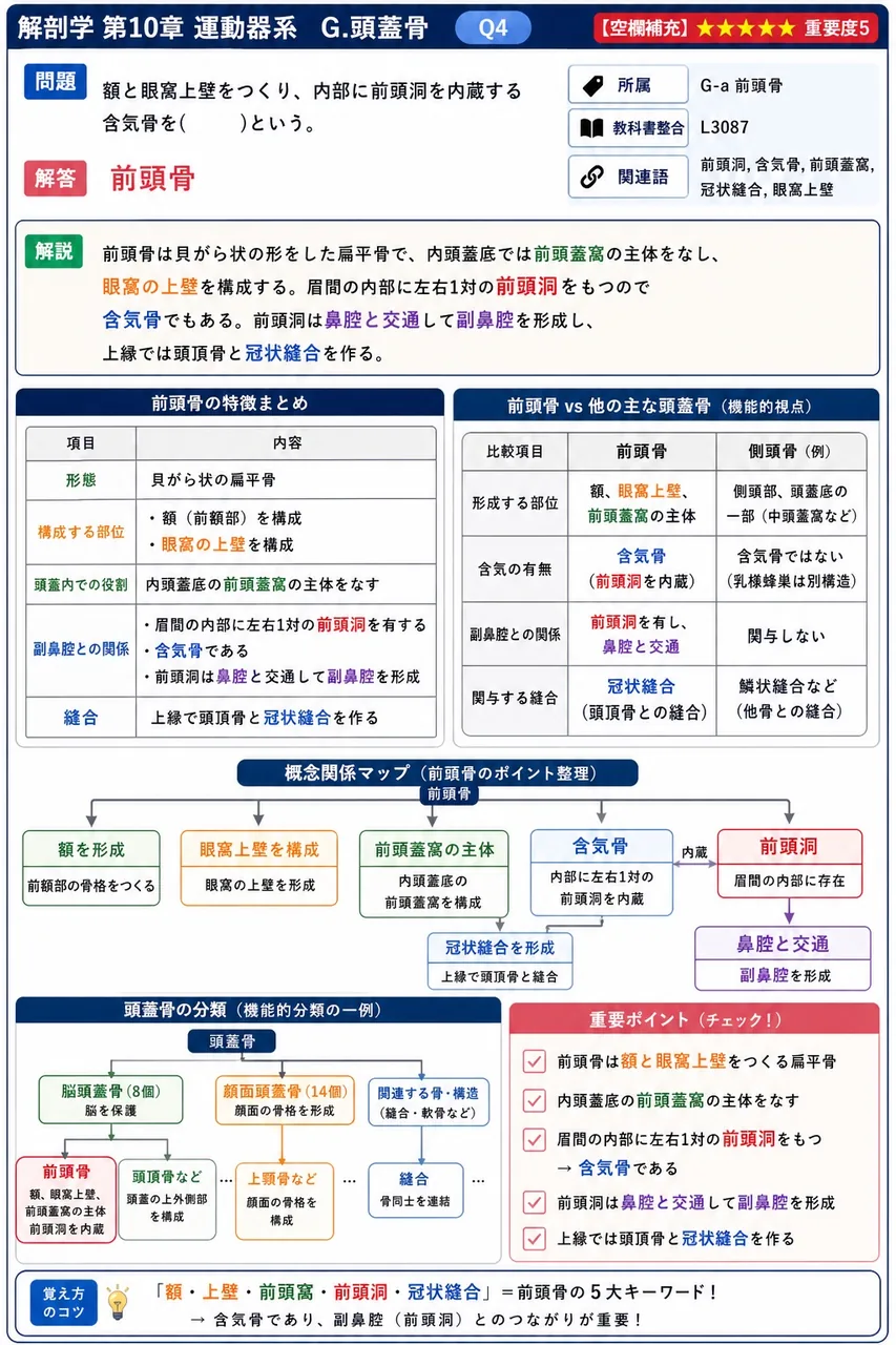 額と眼窩上壁をつくり、内部に前頭洞を内蔵する含気骨を( )という。 解説図