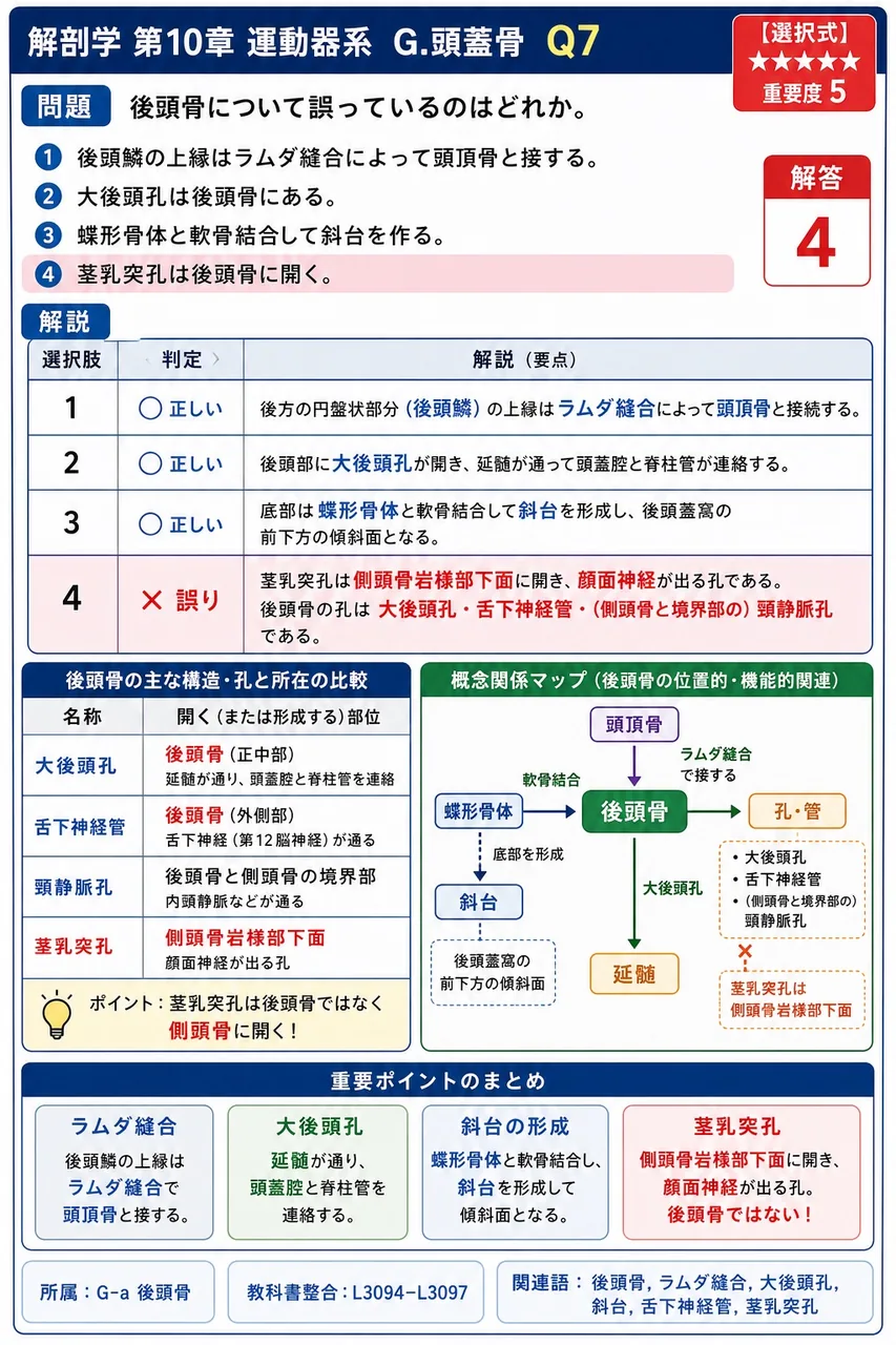 後頭骨について誤っているのはどれか。 解説図
