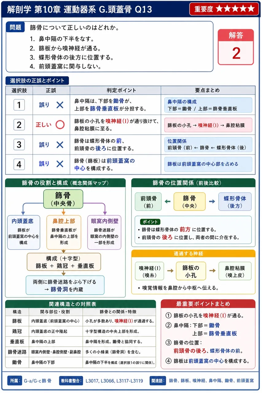 通過する神経の組合せで誤っているのはどれか。 解説図