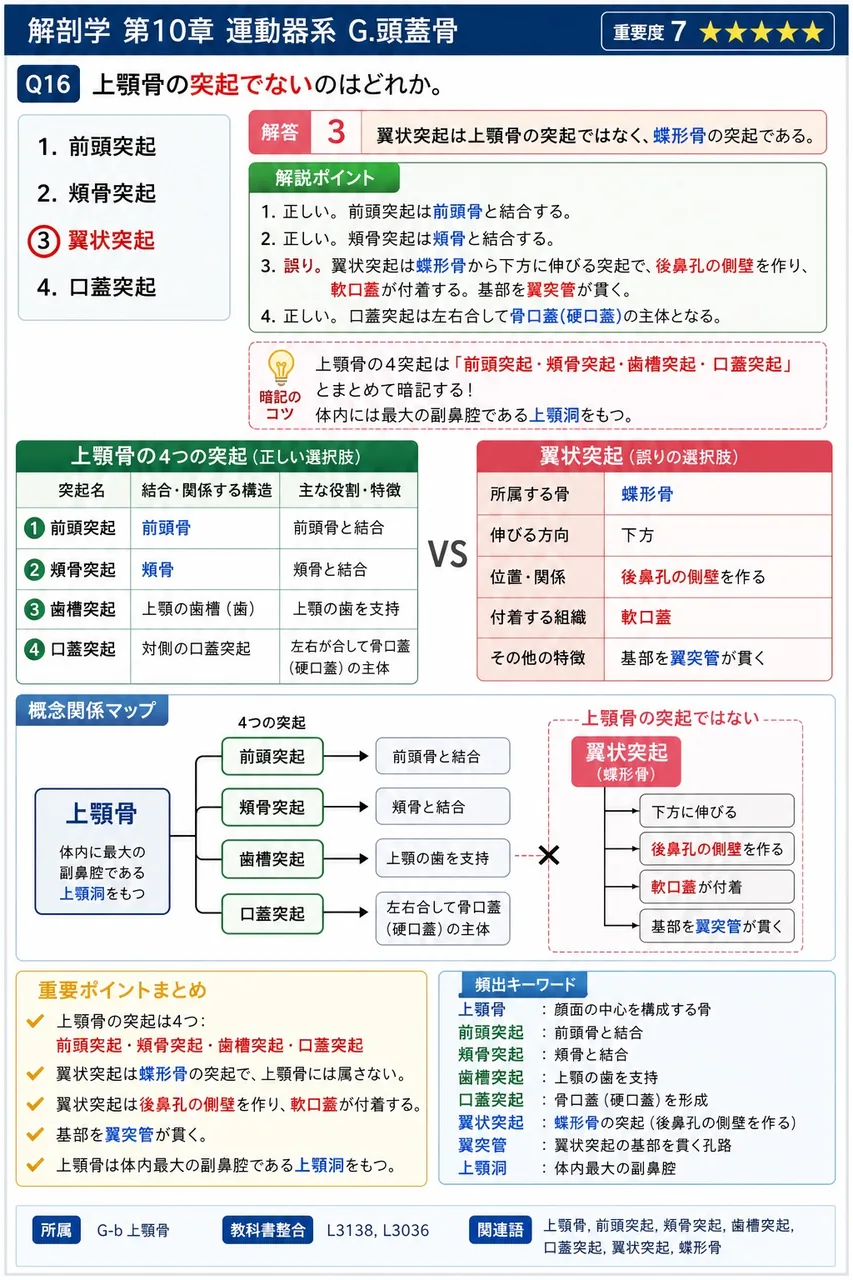 上顎骨の突起でないのはどれか。 解説図