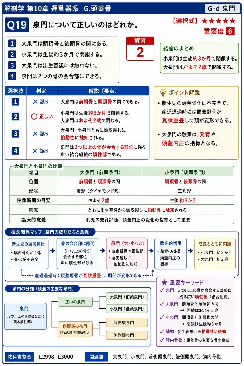 泉門について正しいのはどれか。 解説図