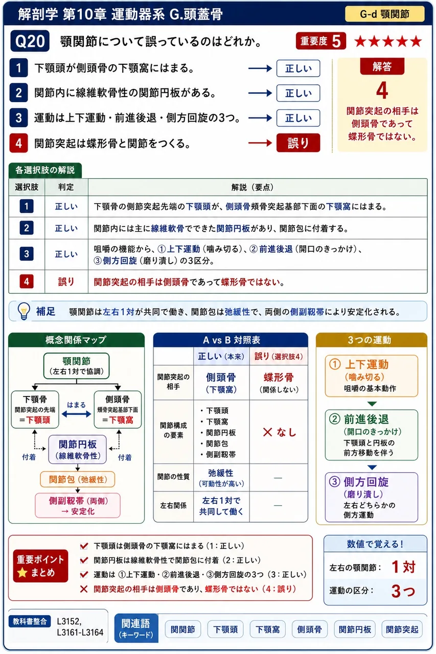 顎関節について誤っているのはどれか。 解説図