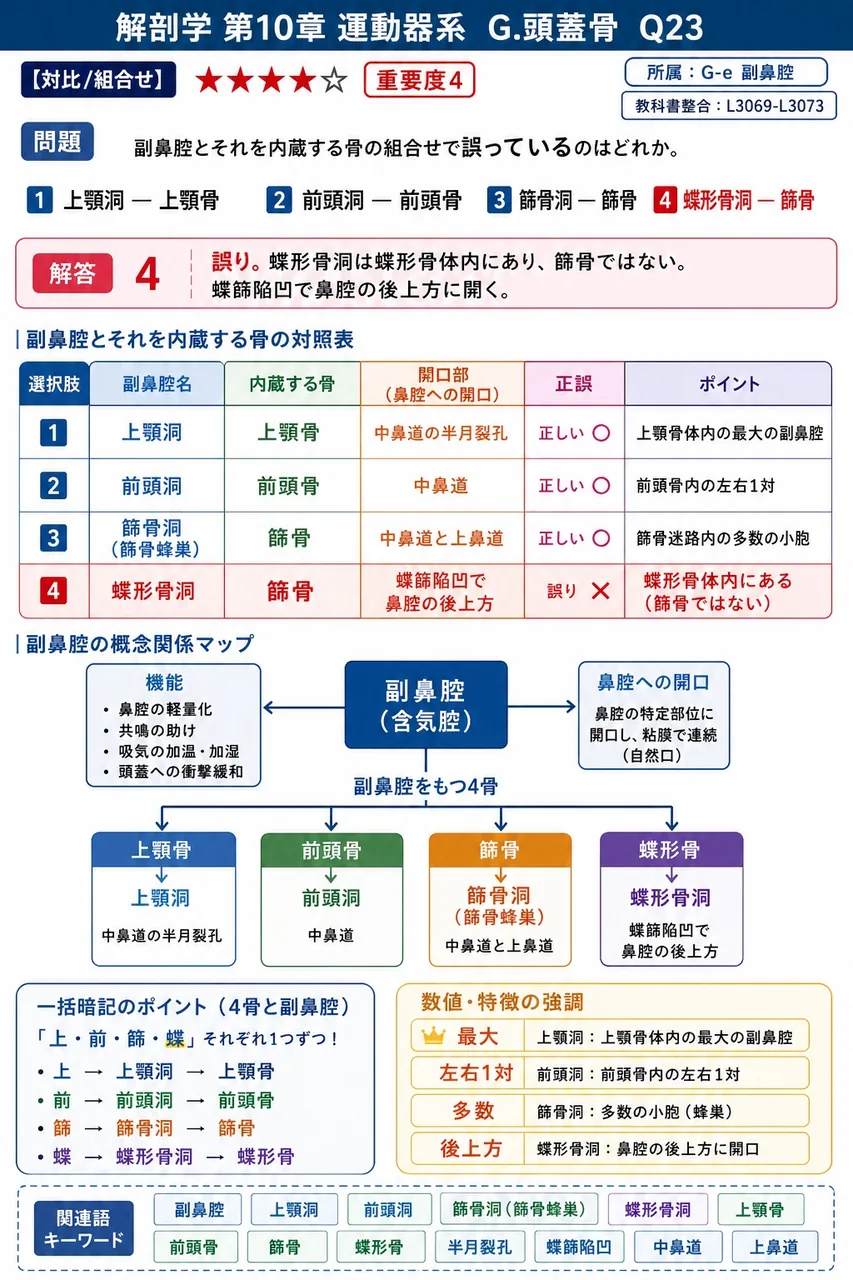 副鼻腔とそれを内蔵する骨の組合せで誤っているのはどれか。 解説図