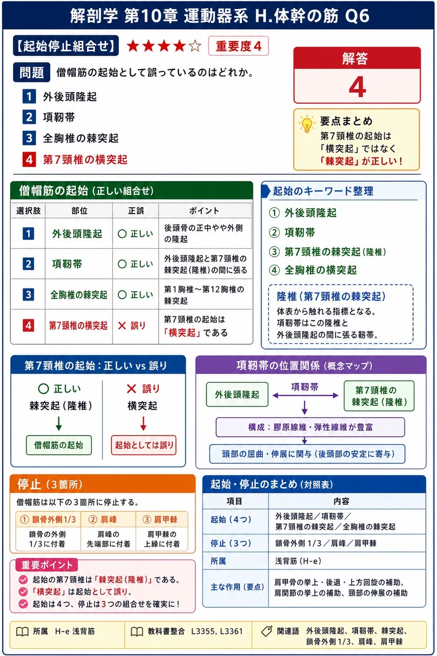 広背筋を支配する神経は何か。 解説図