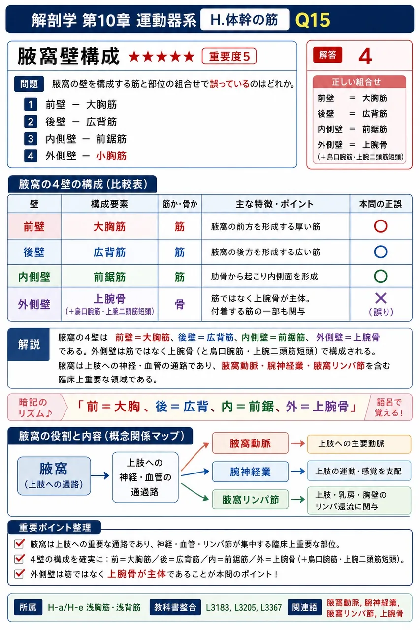 腋窩の壁を構成する筋と部位の組合せで誤っているのはどれか。 解説図