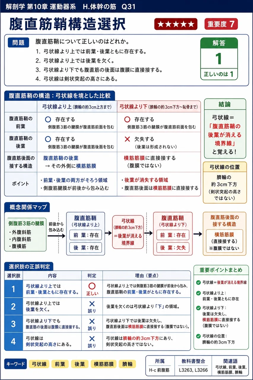 腹直筋鞘について正しいのはどれか。 解説図