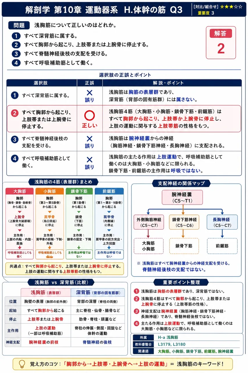 鼠径管の腹腔側の入口を何というか。 解説図