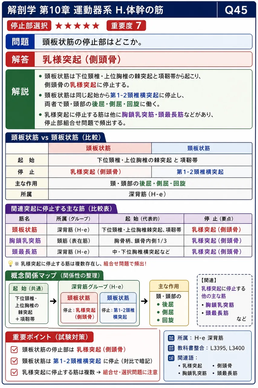 頭板状筋の停止部はどこか。 解説図