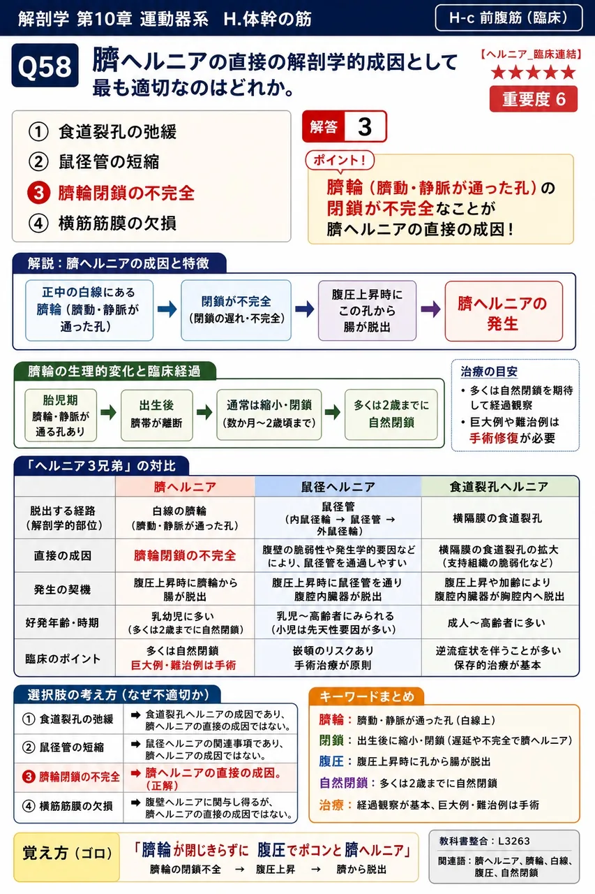 臍ヘルニアの直接の解剖学的成因として最も適切なのはどれか。 解説図