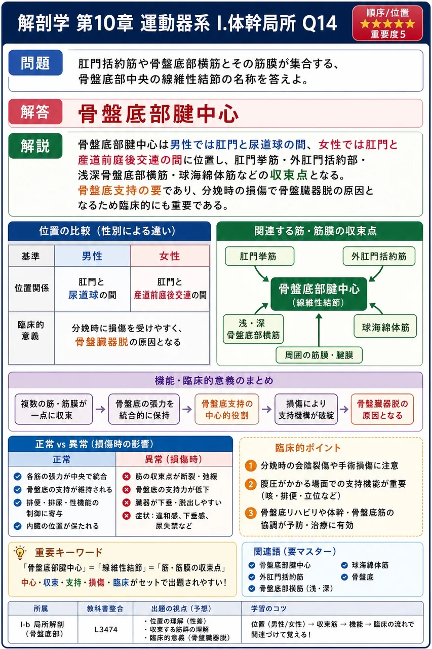 脊柱起立筋を構成する3つの筋を、外側から内側の順に並べたとき正しいのはどれか。 解説図