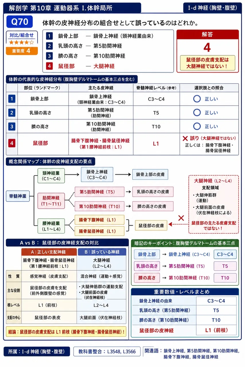 側腹筋を浅層から深層へ順に並べたとき正しいのはどれか。 解説図