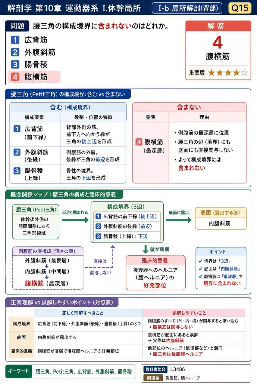 腰三角の構成境界に**含まれない**のはどれか。 解説図