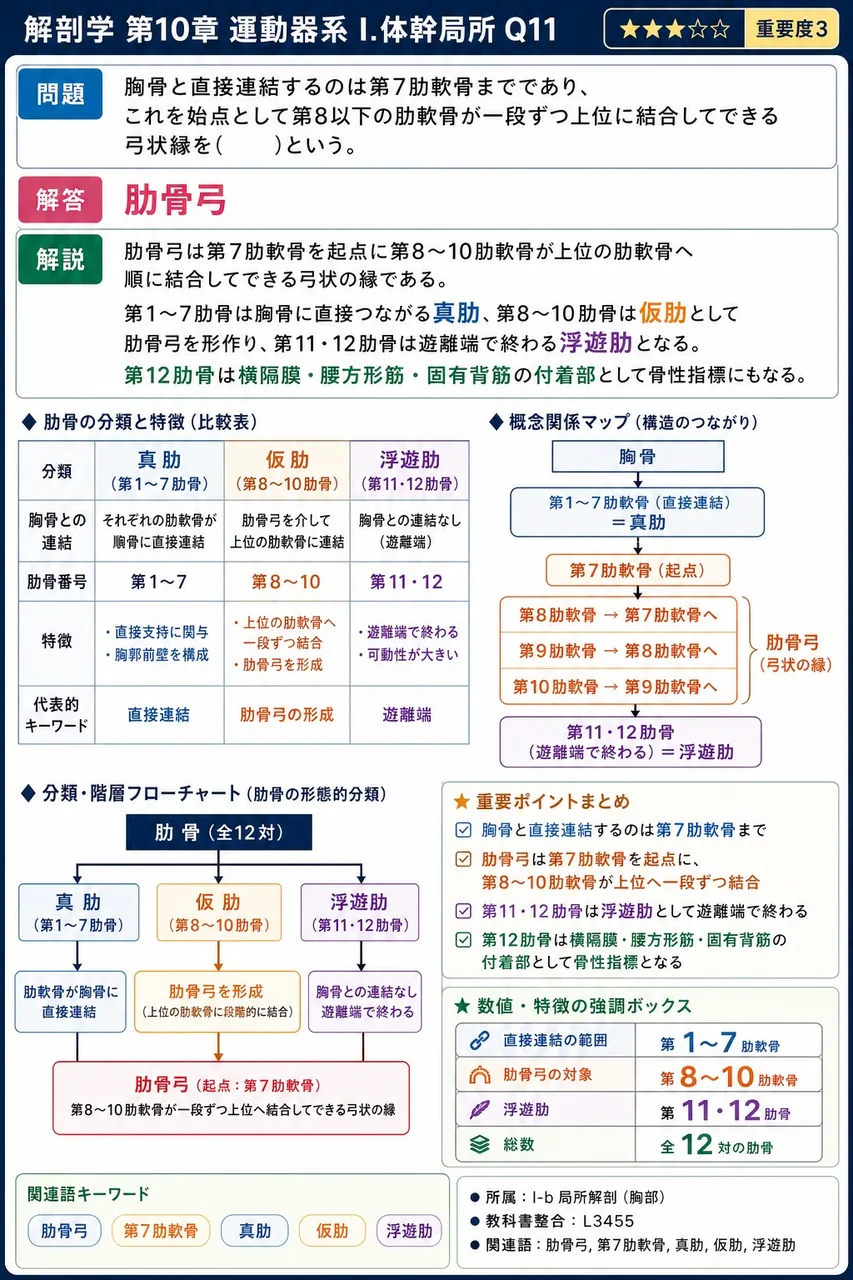 鼠径管の壁を構成し**ない**のはどれか。 解説図