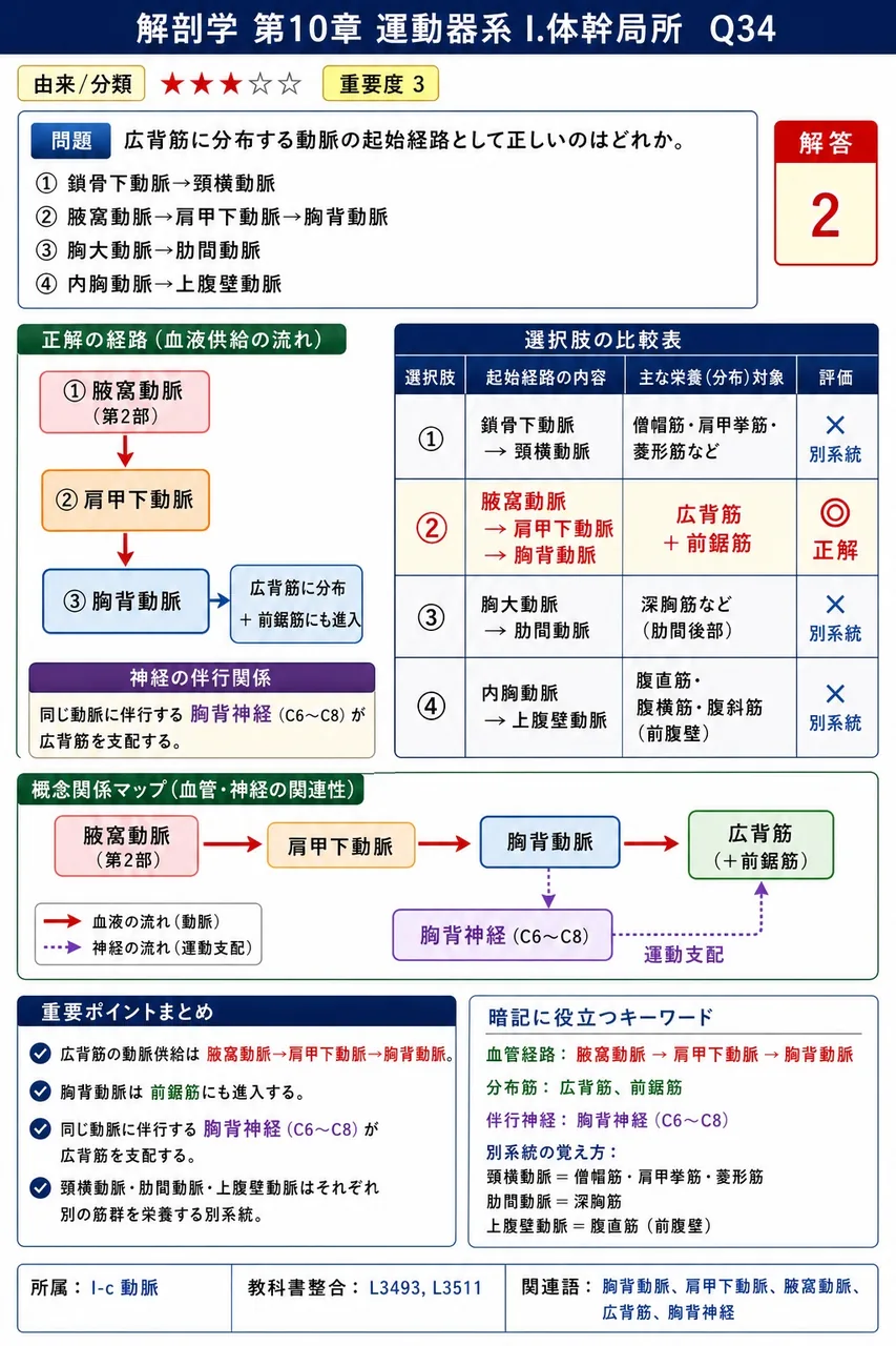 広背筋に分布する動脈の起始経路として正しいのはどれか。 解説図