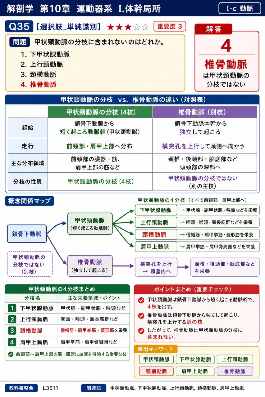 甲状頸動脈の分枝に含まれないのはどれか。 解説図