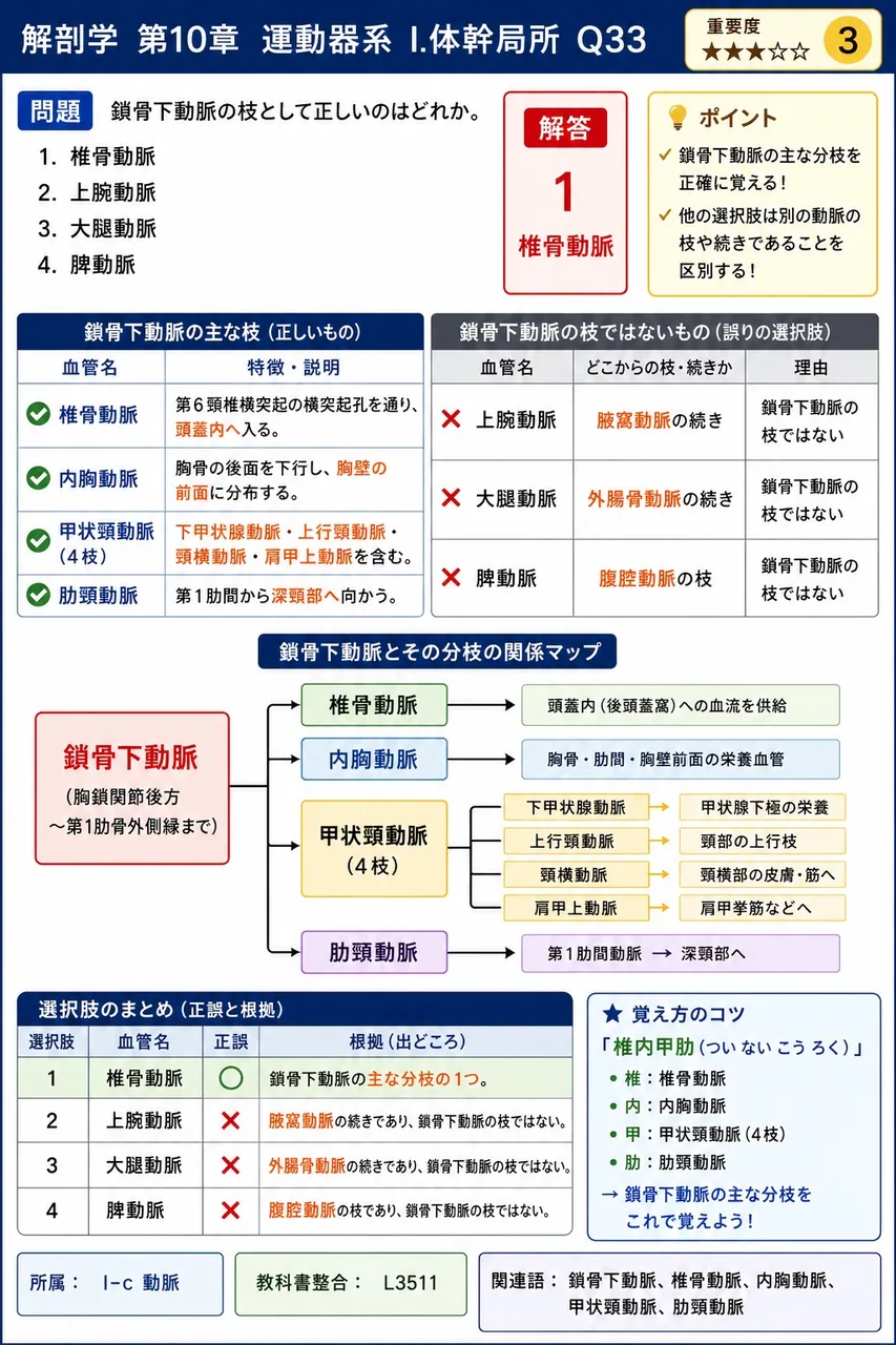 腹直筋に分布する動脈の起始の組合せとして正しいのはどれか。 解説図