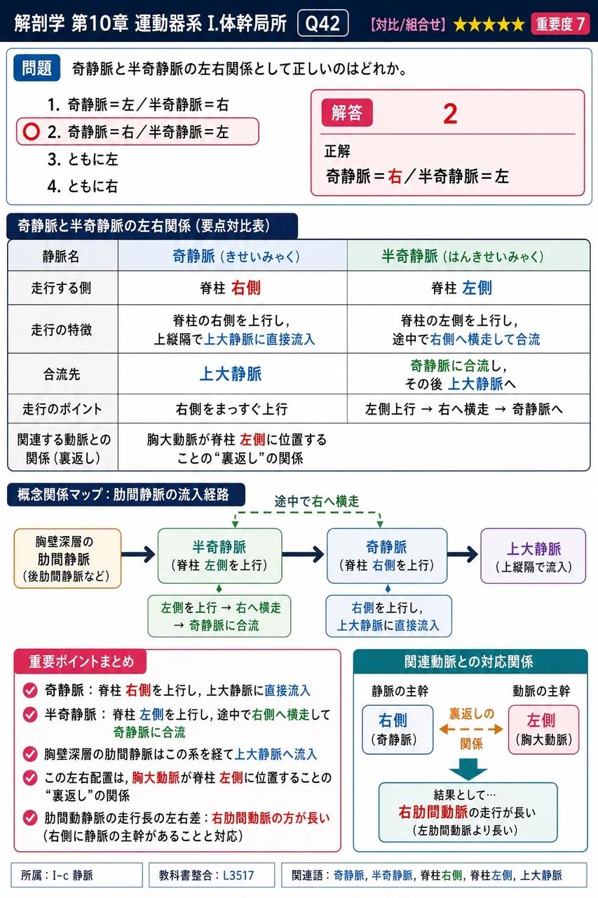 僧帽筋の主たる支配神経はどれか。 解説図