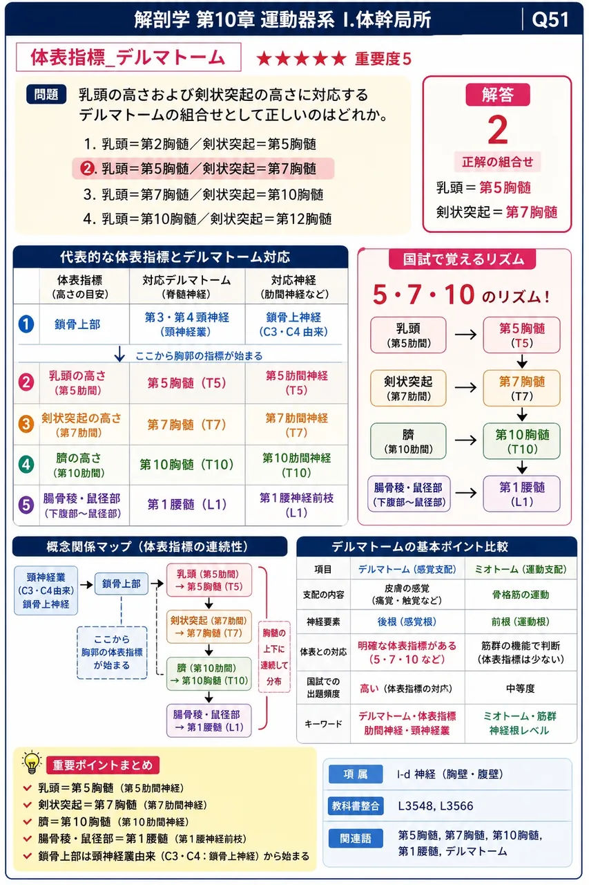乳頭の高さおよび剣状突起の高さに対応するデルマトームの組合せとして正しいのはどれか。 解説図
