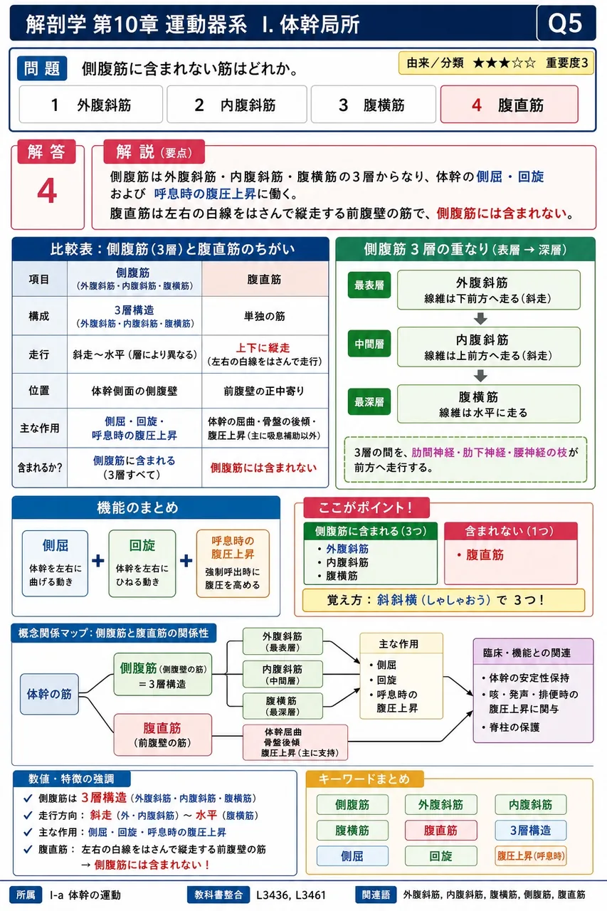 横隔神経の経路について正しいのはどれか。 解説図