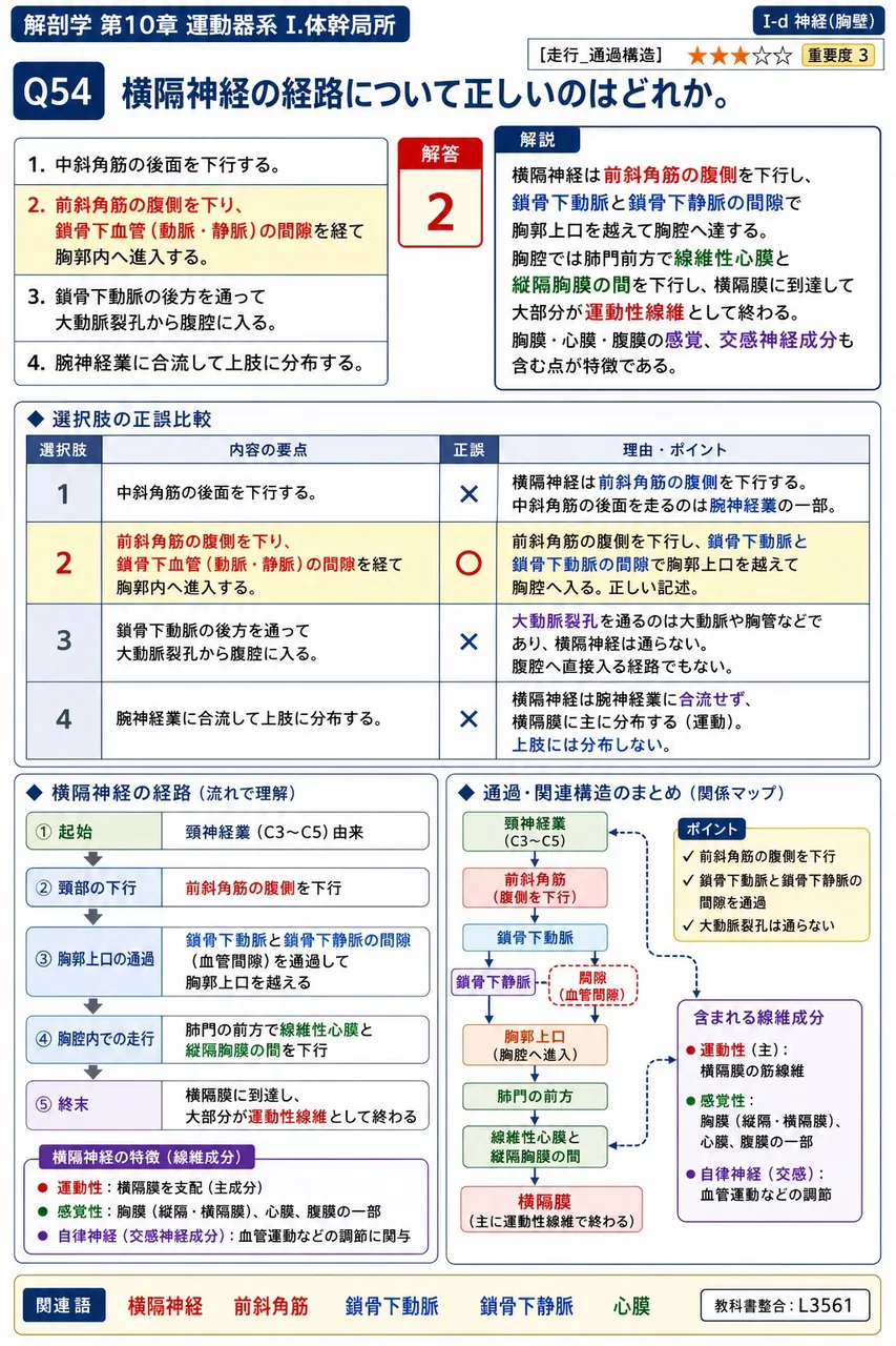 鎖骨上部の皮膚に分布する鎖骨上神経の起始として正しいのはどれか。 解説図