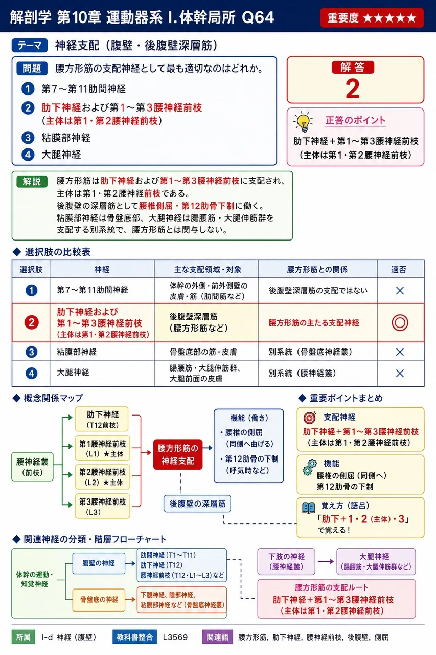 脊髄神経後枝の支配領域として誤っているのはどれか。 解説図
