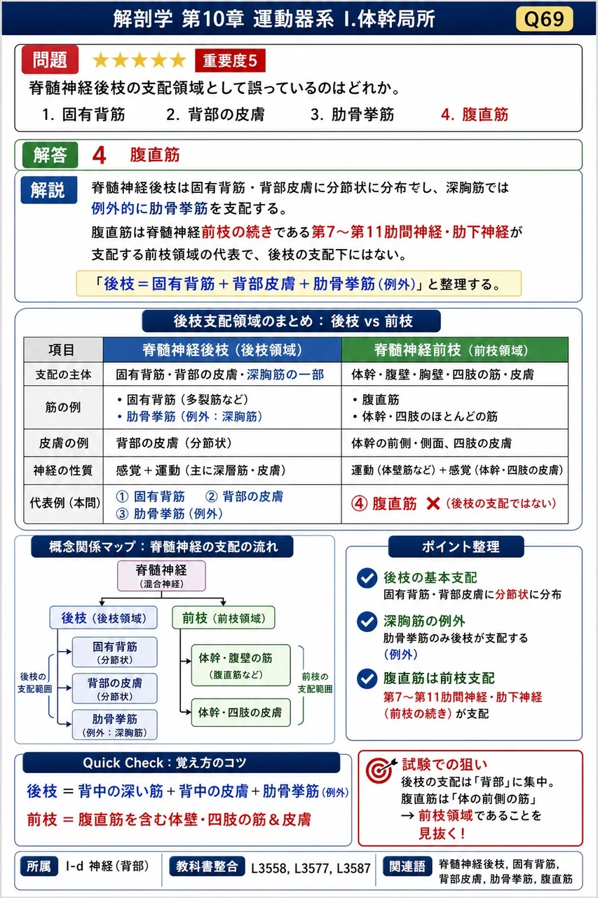 体幹の皮神経分布の組合せとして誤っているのはどれか。 解説図